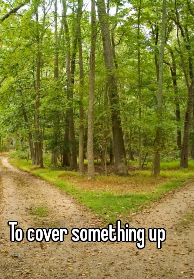 to-cover-something-up