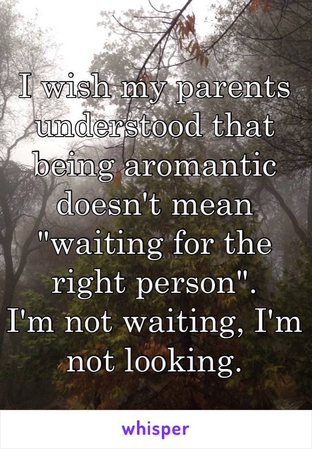 I wish my parents understood that being aromantic doesn't mean "waiting for the right person".
I'm not waiting, I'm not looking. 