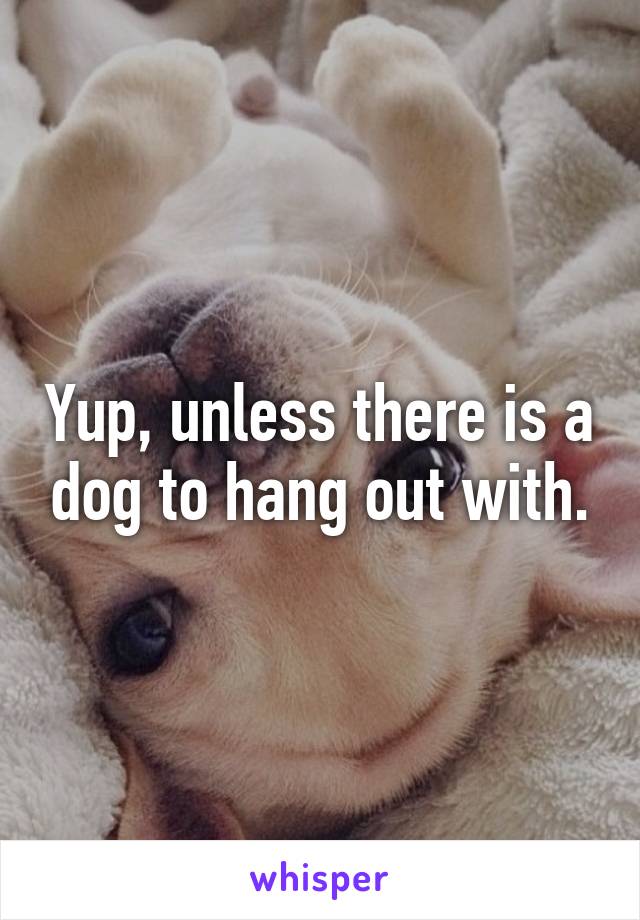 Yup, unless there is a dog to hang out with.