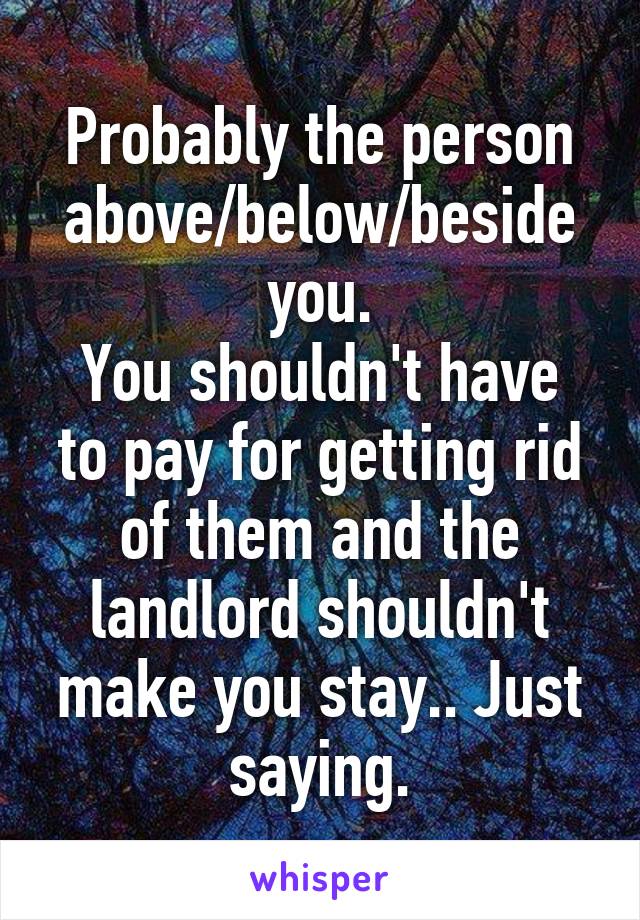 Probably the person above/below/beside you.
You shouldn't have to pay for getting rid of them and the landlord shouldn't make you stay.. Just saying.