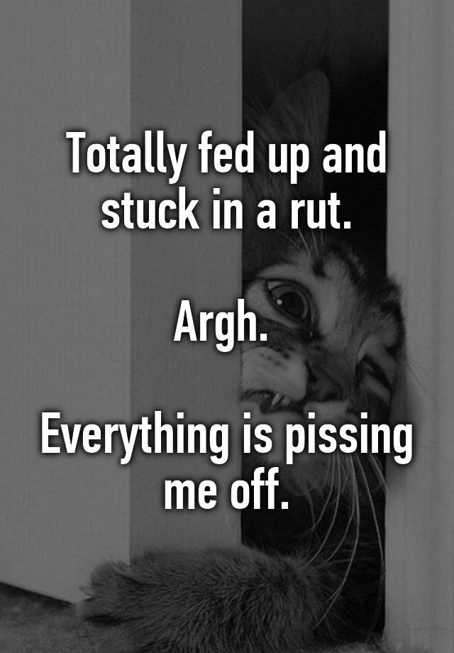 Totally fed up and stuck in a rut. Argh. Everything is pissing me off.