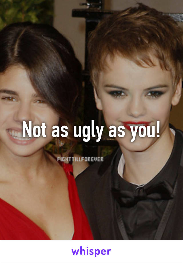 Not as ugly as you!