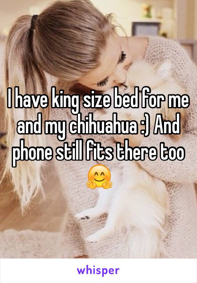 I have king size bed for me and my chihuahua :) And phone still fits there too 🤗