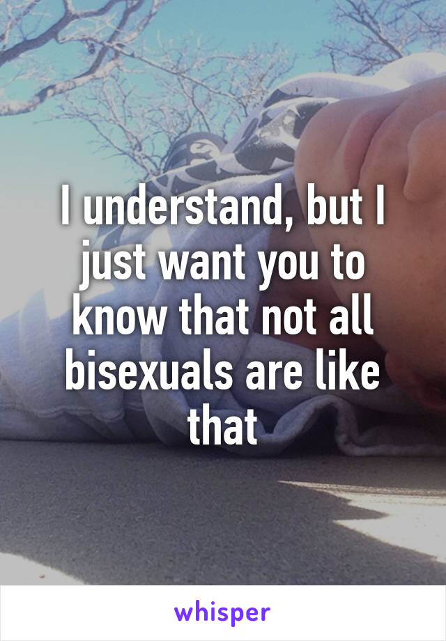 I understand, but I just want you to know that not all bisexuals are like that