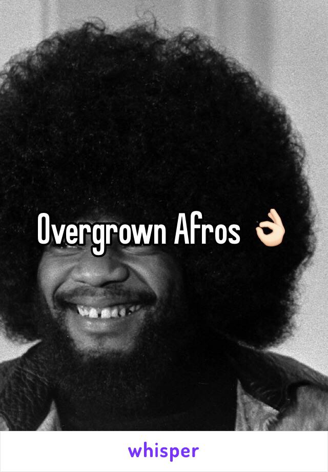 Overgrown Afros 👌🏻