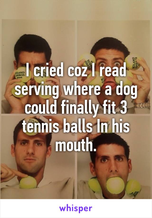 I cried coz I read serving where a dog could finally fit 3 tennis balls In his mouth.