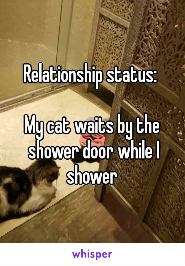 Relationship status: 

My cat waits by the shower door while I shower 