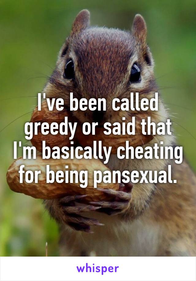 I've been called greedy or said that I'm basically cheating for being pansexual.