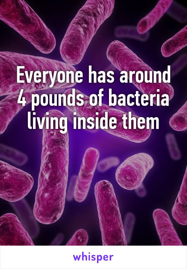 Everyone has around 4 pounds of bacteria living inside them
      

  