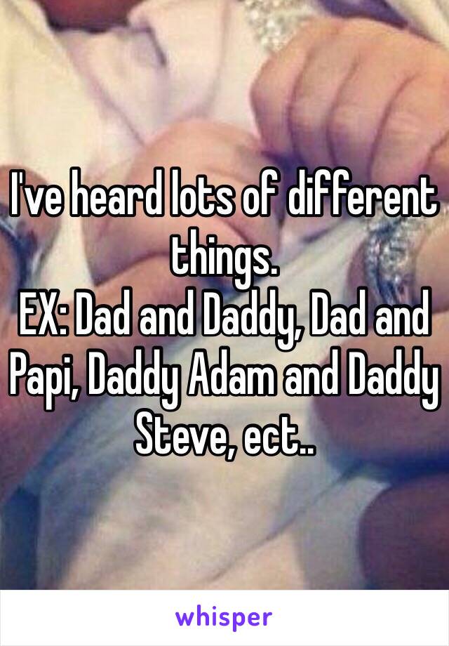 I've heard lots of different things.
EX: Dad and Daddy, Dad and Papi, Daddy Adam and Daddy Steve, ect..