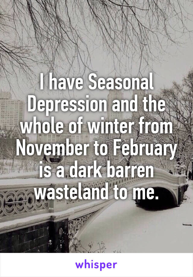 I have Seasonal Depression and the whole of winter from November to February is a dark barren wasteland to me.