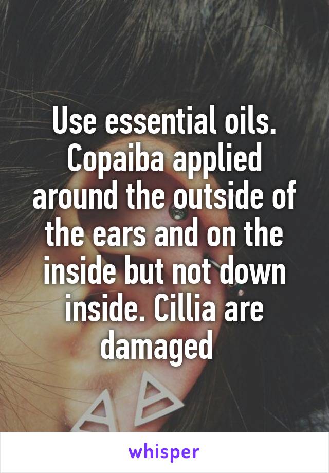 Use essential oils. Copaiba applied around the outside of the ears and on the inside but not down inside. Cillia are damaged  