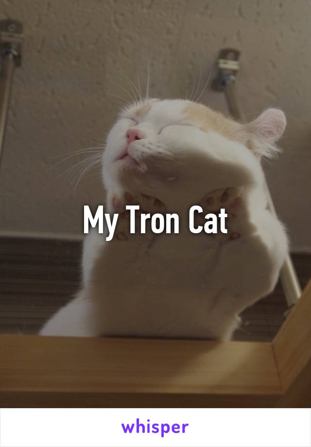 My Tron Cat