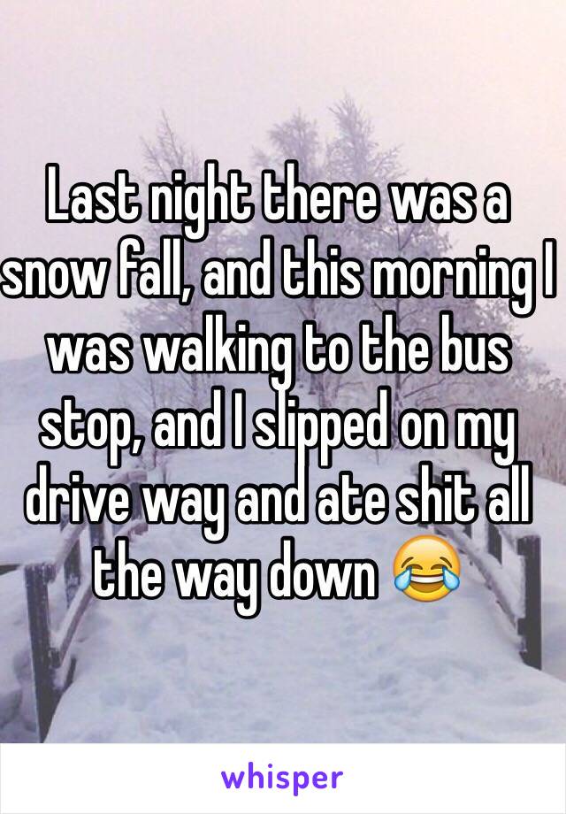 Last night there was a snow fall, and this morning I was walking to the bus stop, and I slipped on my drive way and ate shit all the way down 😂 
