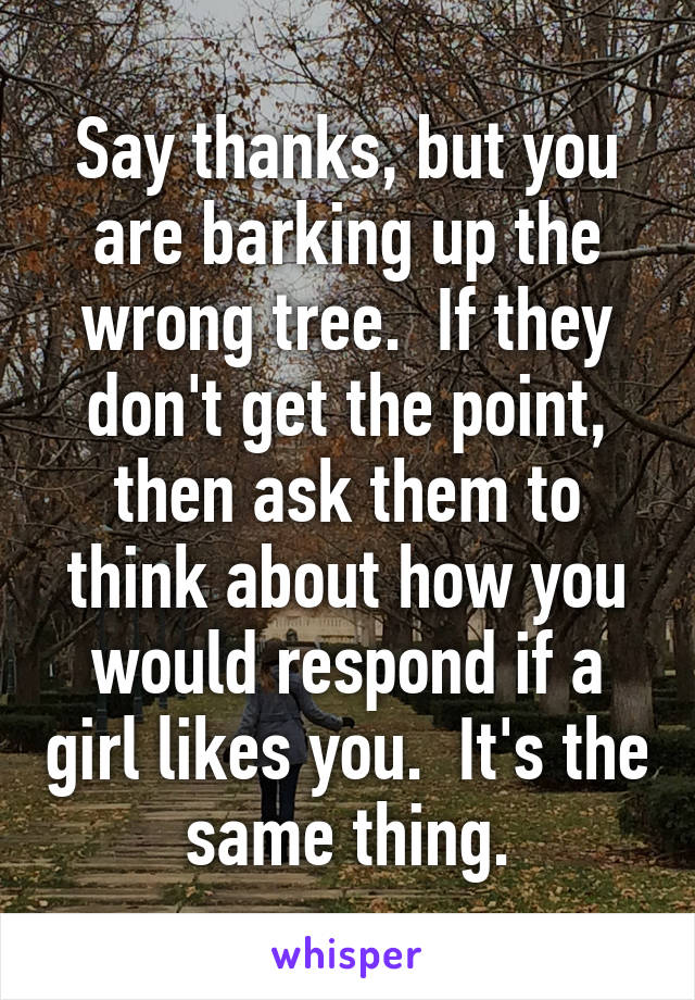 Say thanks, but you are barking up the wrong tree.  If they don't get the point, then ask them to think about how you would respond if a girl likes you.  It's the same thing.