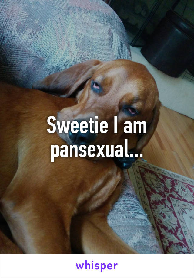 Sweetie I am pansexual...