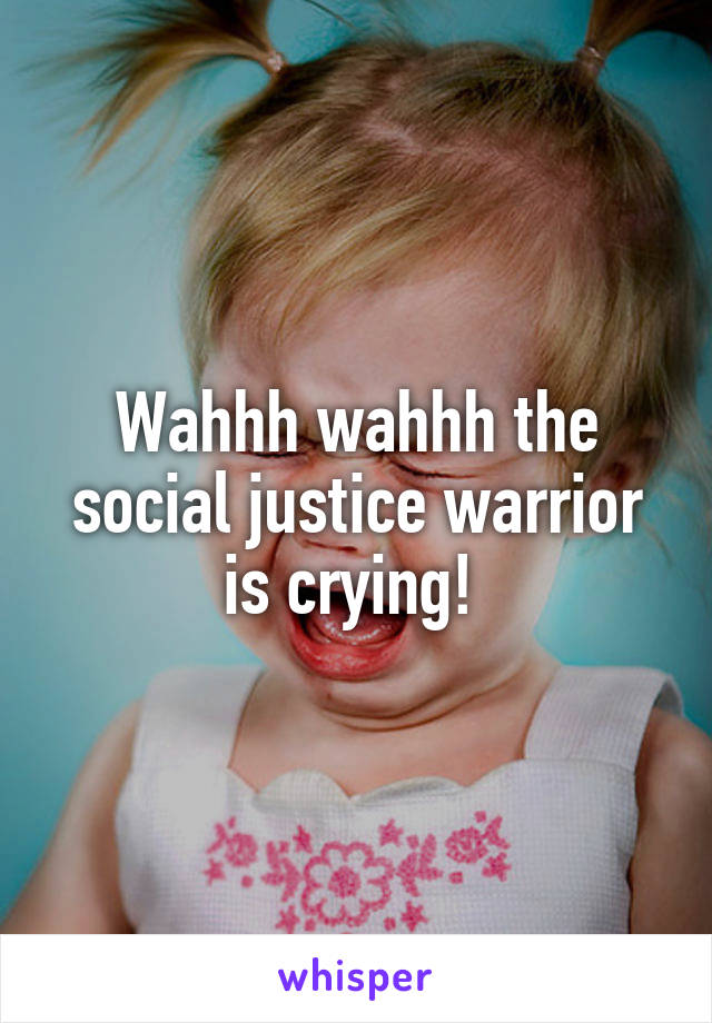 Wahhh wahhh the social justice warrior is crying! 