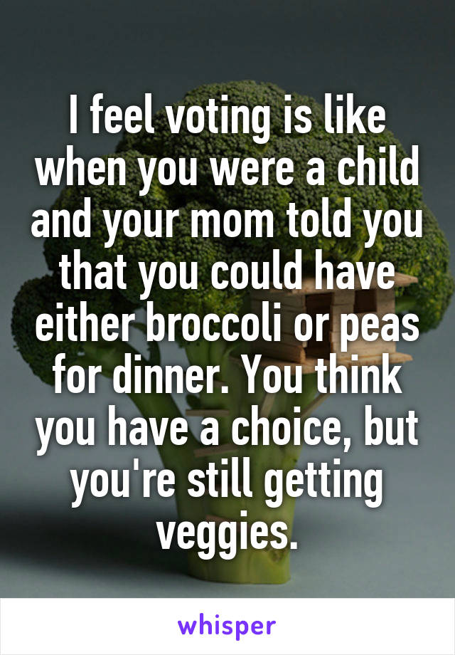 I feel voting is like when you were a child and your mom told you that you could have either broccoli or peas for dinner. You think you have a choice, but you're still getting veggies.