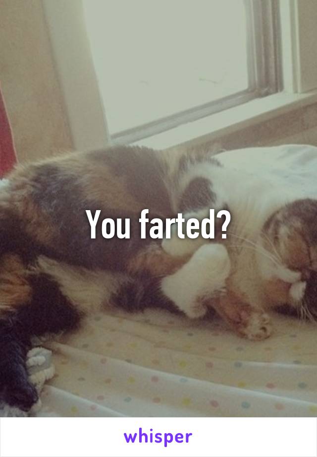 You farted?