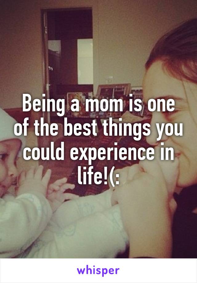 Being a mom is one of the best things you could experience in life!(: