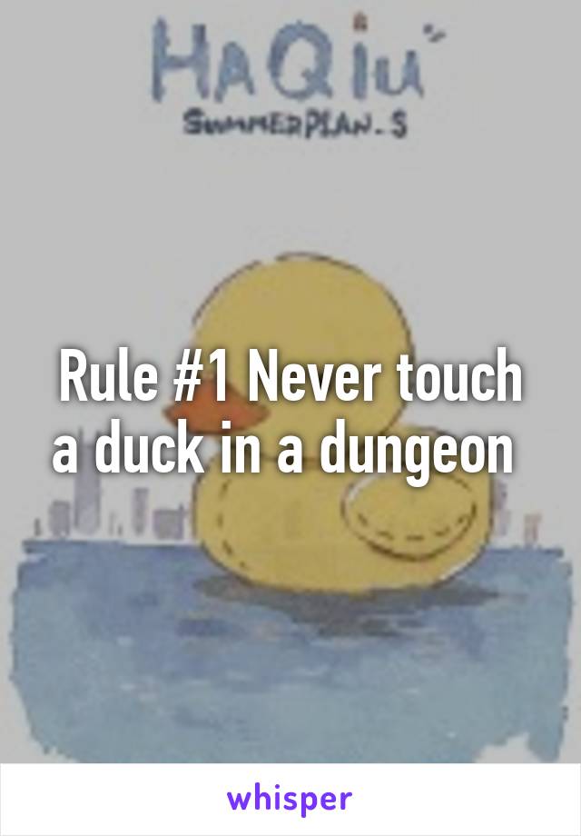 Rule #1 Never touch a duck in a dungeon 