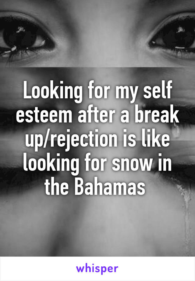 Looking for my self esteem after a break up/rejection is like looking for snow in the Bahamas 