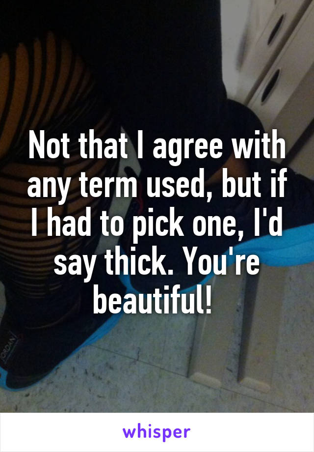 Not that I agree with any term used, but if I had to pick one, I'd say thick. You're beautiful! 