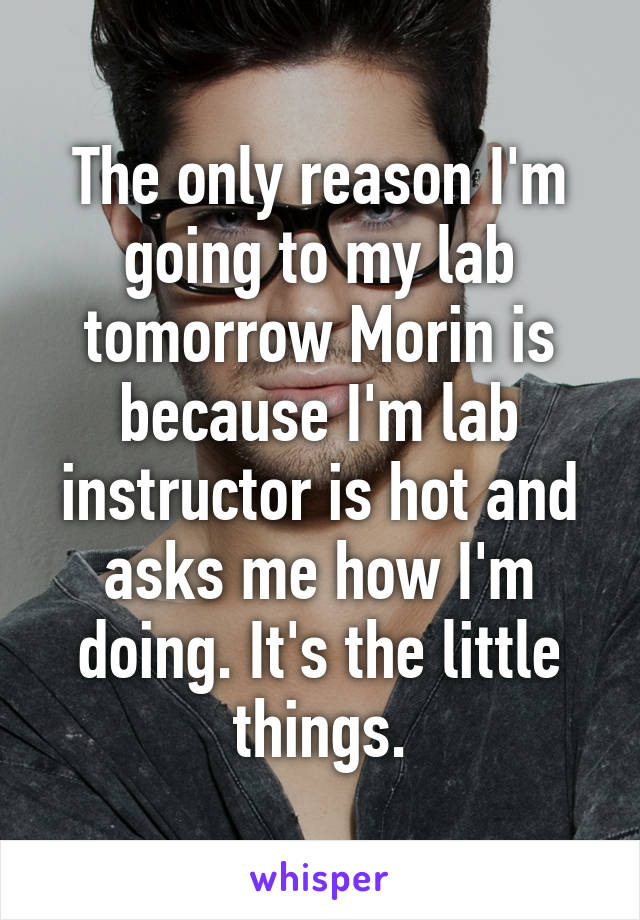 The only reason I'm going to my lab tomorrow Morin is because I'm lab instructor is hot and asks me how I'm doing. It's the little things.