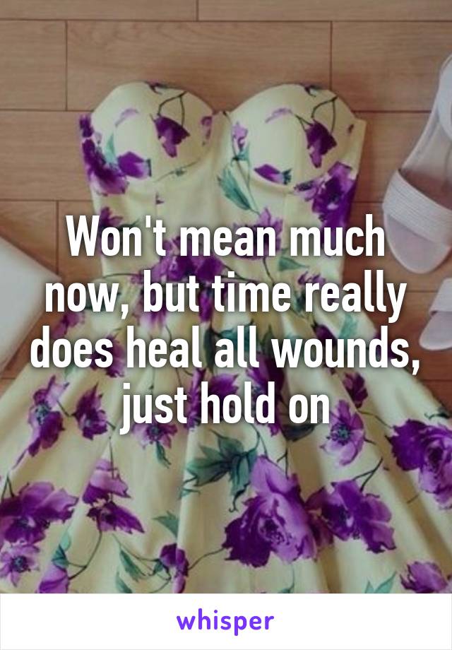 Won't mean much now, but time really does heal all wounds, just hold on