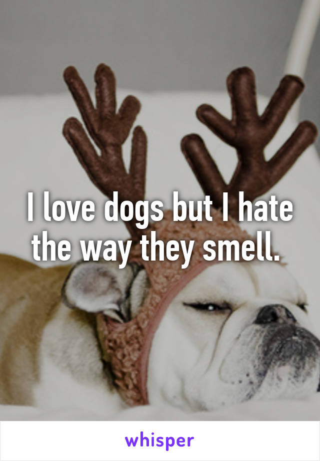 I love dogs but I hate the way they smell. 