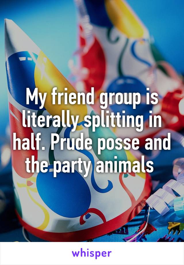 My friend group is literally splitting in half. Prude posse and the party animals 