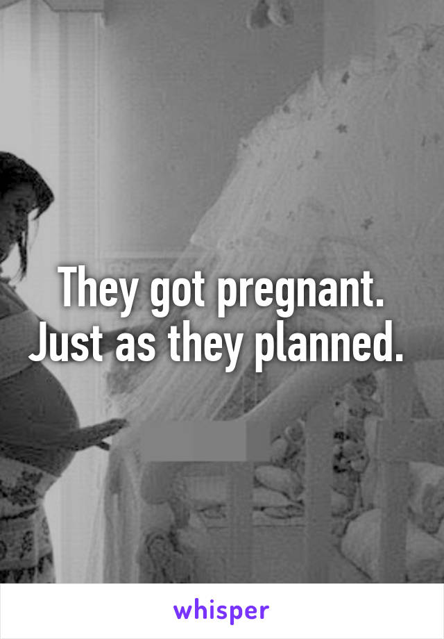 They got pregnant. Just as they planned. 