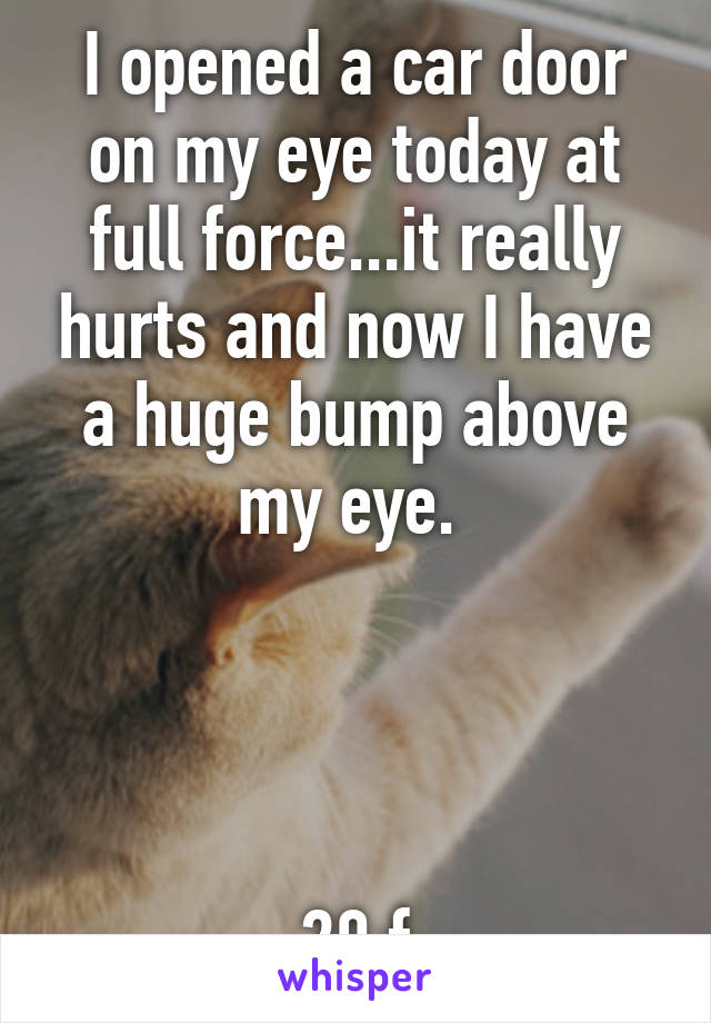 I opened a car door on my eye today at full force...it really hurts and now I have a huge bump above my eye. 




20 f