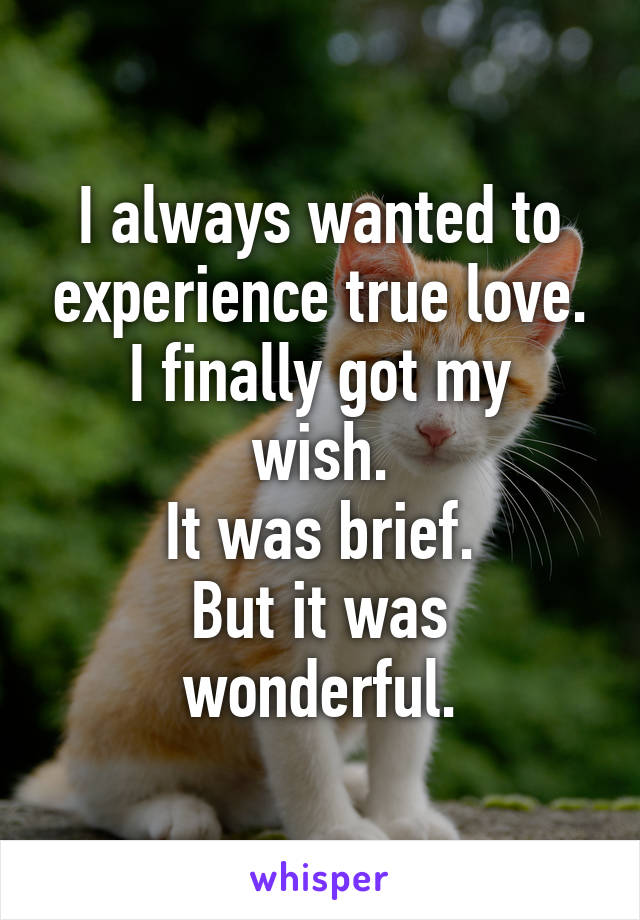 I always wanted to experience true love.
I finally got my wish.
It was brief.
But it was wonderful.