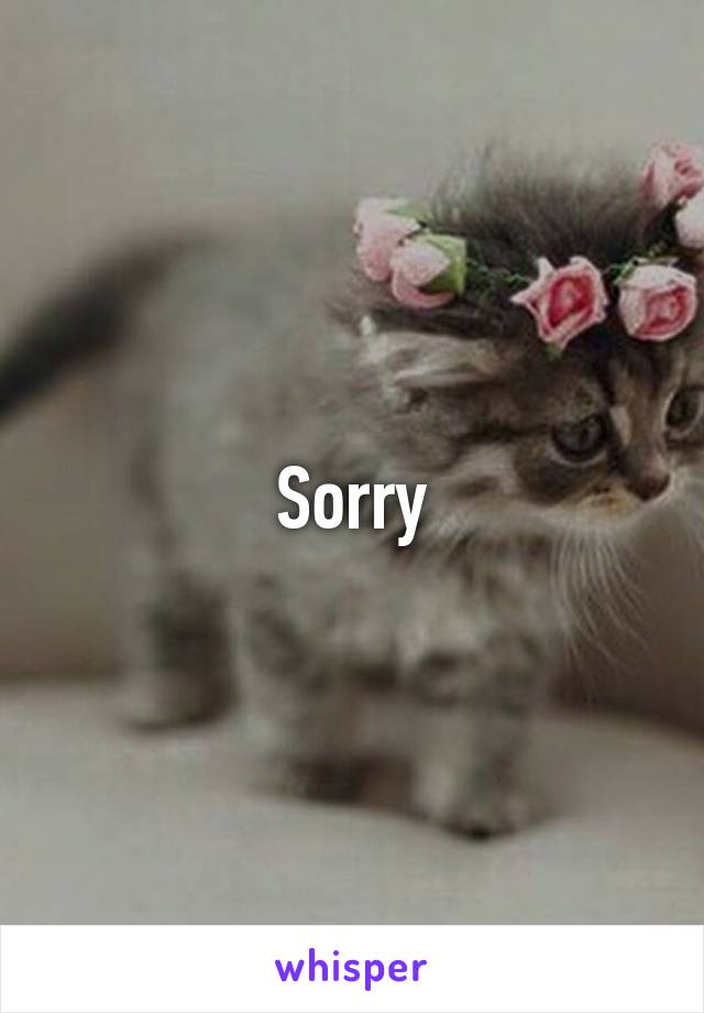 Sorry