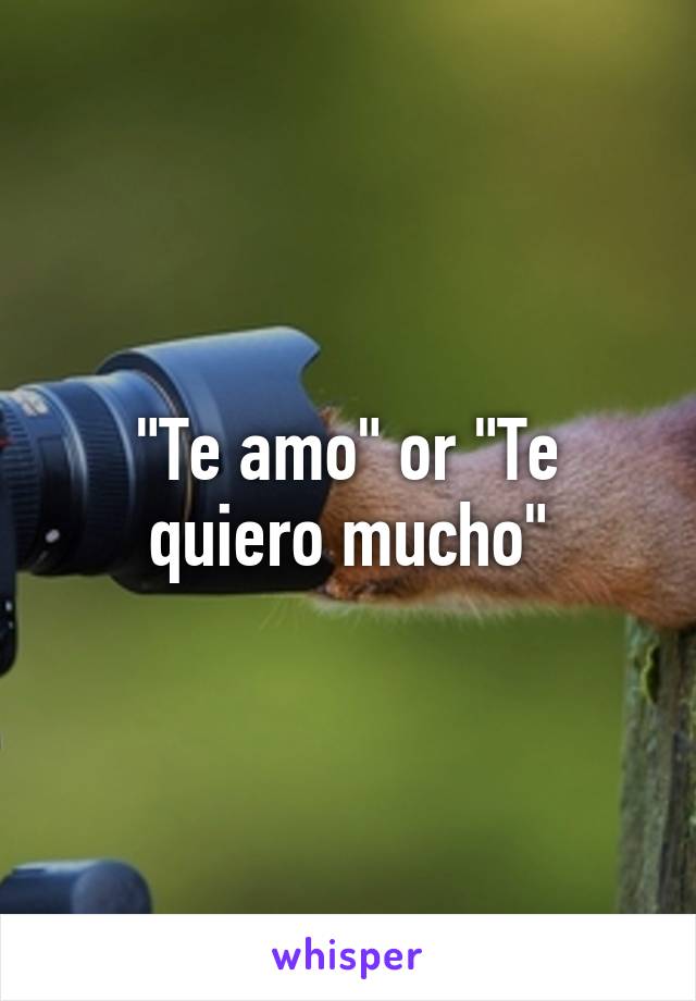 "Te amo" or "Te quiero mucho"