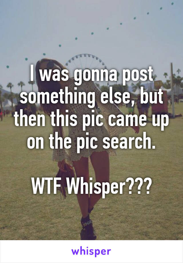 I was gonna post something else, but then this pic came up on the pic search.

WTF Whisper???