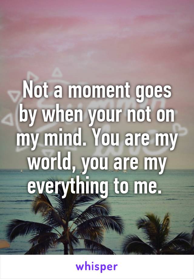 Not a moment goes by when your not on my mind. You are my world, you are my everything to me. 