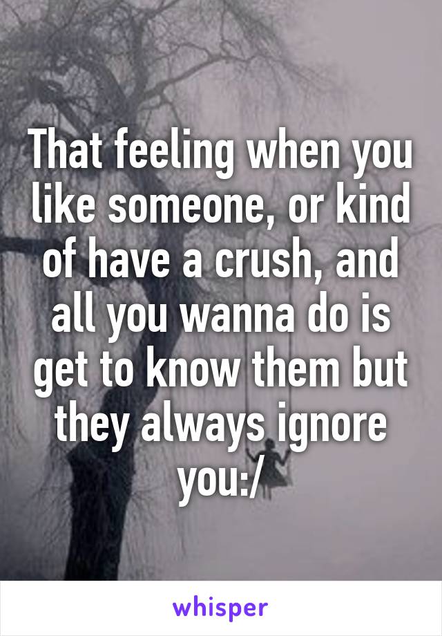 That feeling when you like someone, or kind of have a crush, and all you wanna do is get to know them but they always ignore you:/