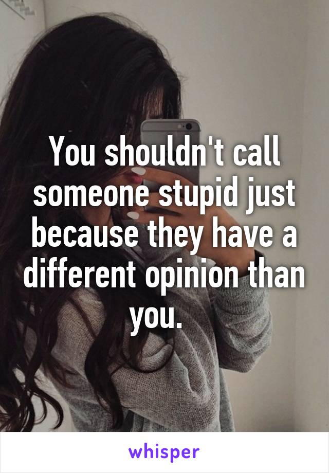 You shouldn't call someone stupid just because they have a different opinion than you.  