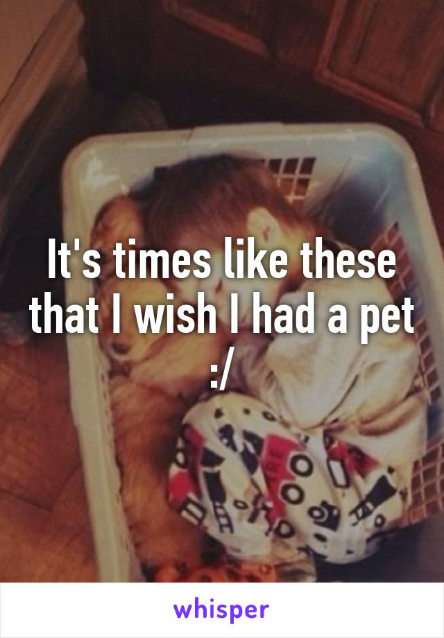 It's times like these that I wish I had a pet :/