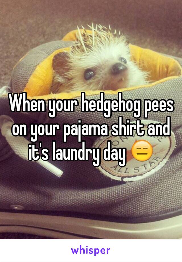 When your hedgehog pees on your pajama shirt and it's laundry day 😑