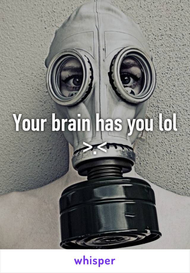 Your brain has you lol >.<