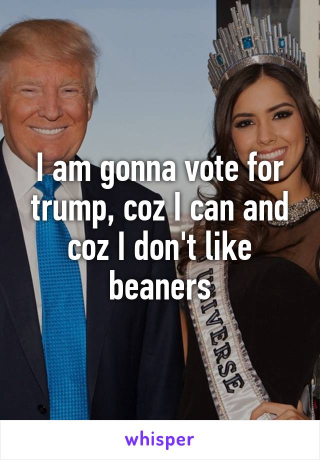 I am gonna vote for trump, coz I can and coz I don't like beaners