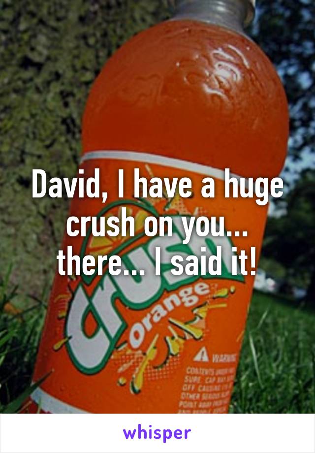 David, I have a huge crush on you... there... I said it!