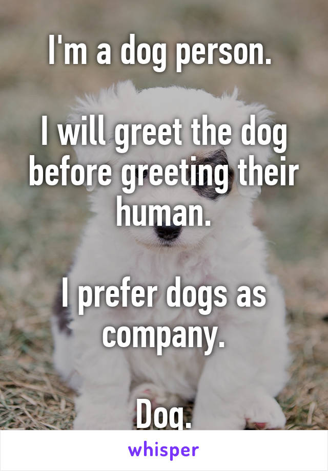 I'm a dog person. 

I will greet the dog before greeting their human.

I prefer dogs as company.

Dog.