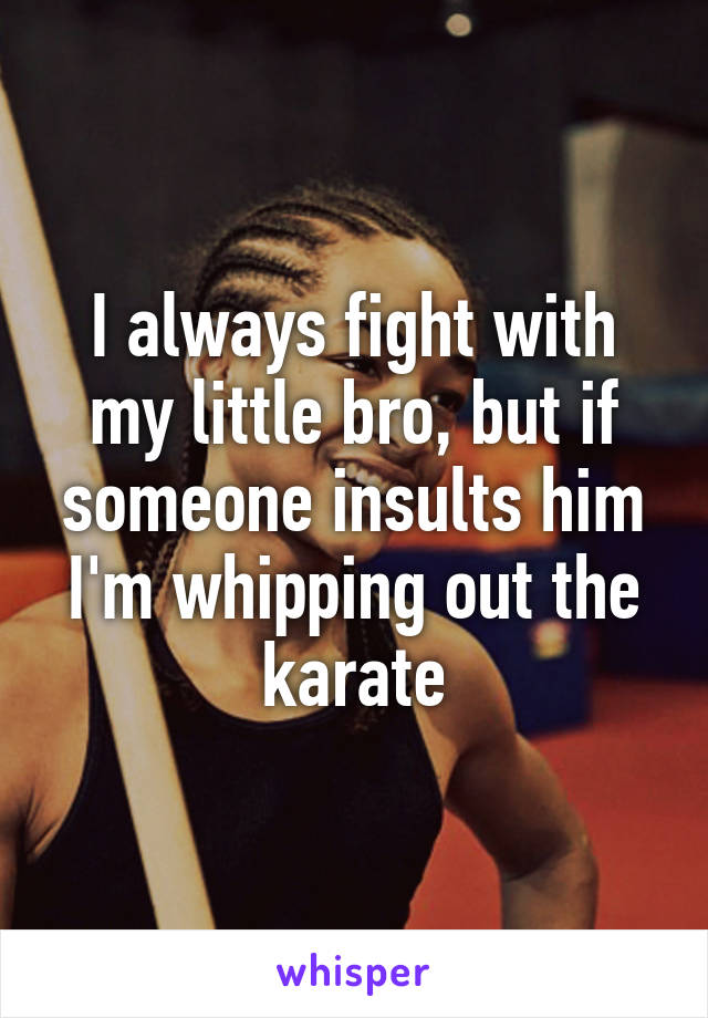 I always fight with my little bro, but if someone insults him I'm whipping out the karate