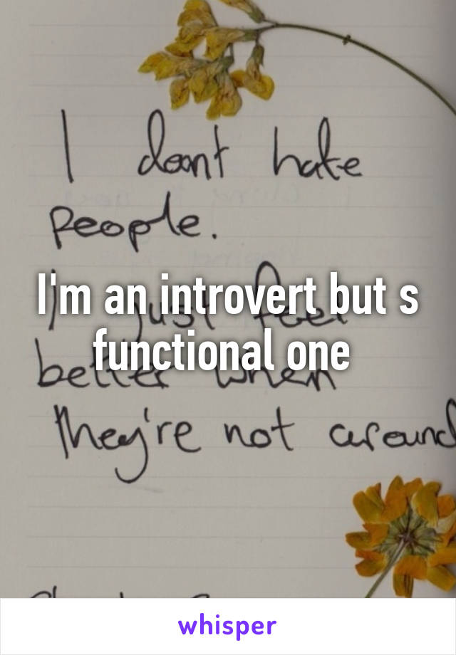 I'm an introvert but s functional one 