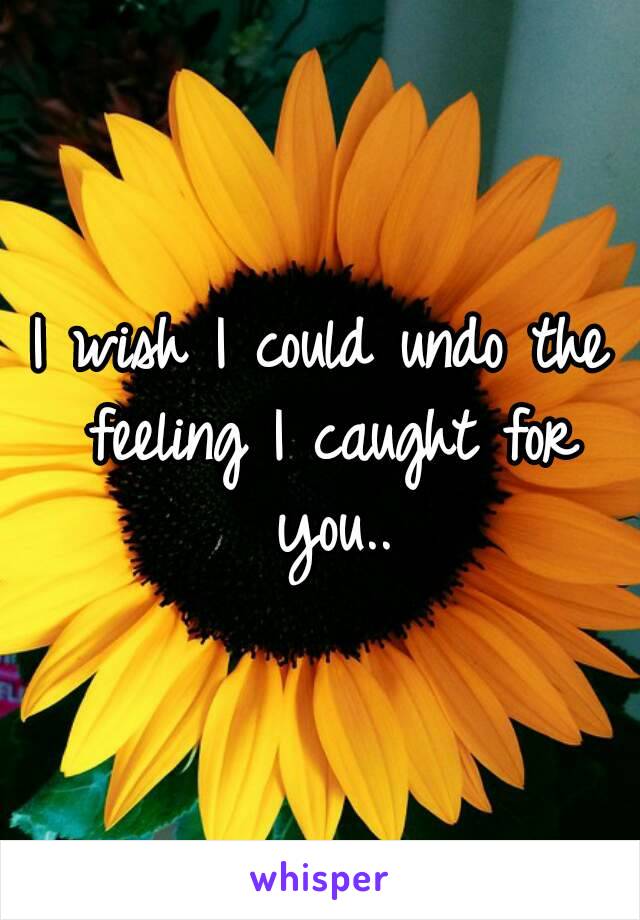 I wish I could undo the feeling I caught for you..