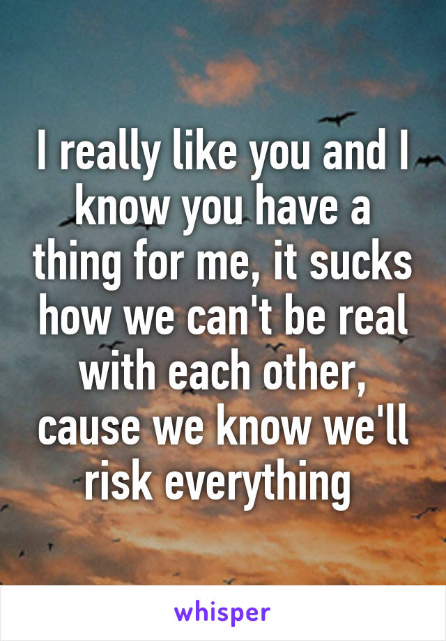 I really like you and I know you have a thing for me, it sucks how we can't be real with each other, cause we know we'll risk everything 